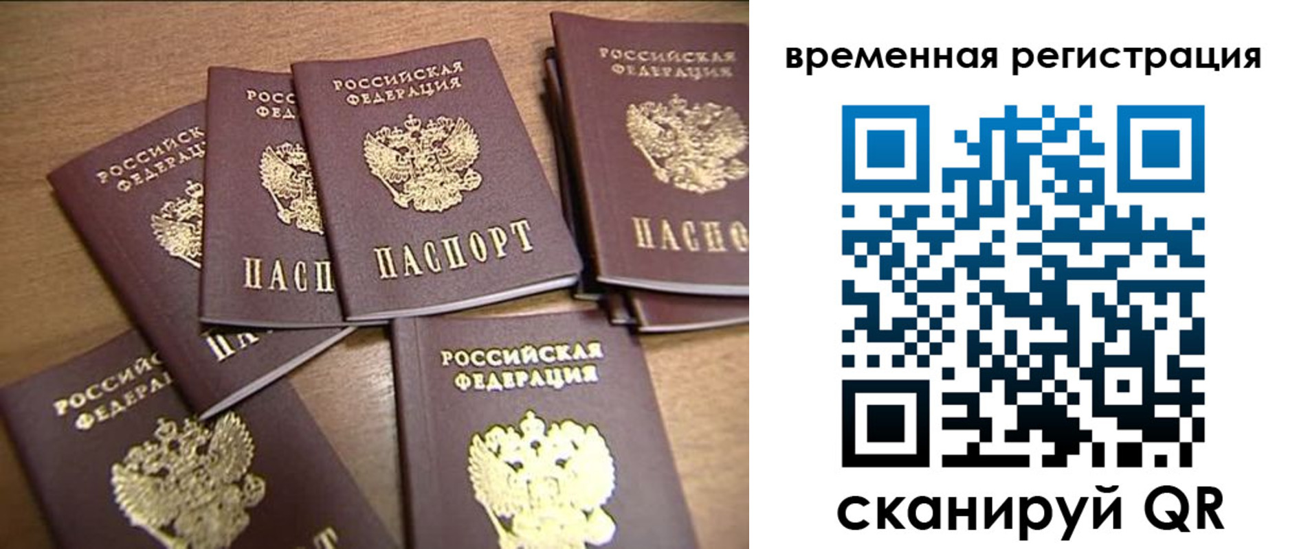 прописка ребенка в Кудрово